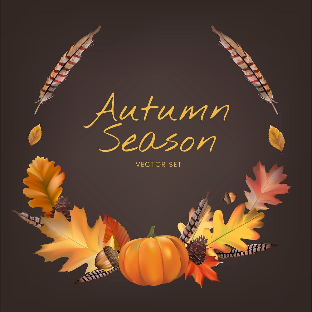 Collection of autumn leaves vector