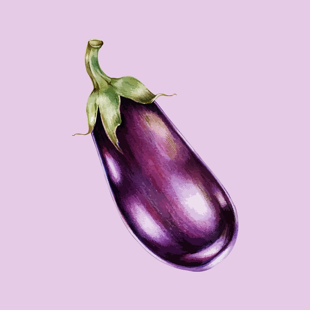 Illustration of an aubergine