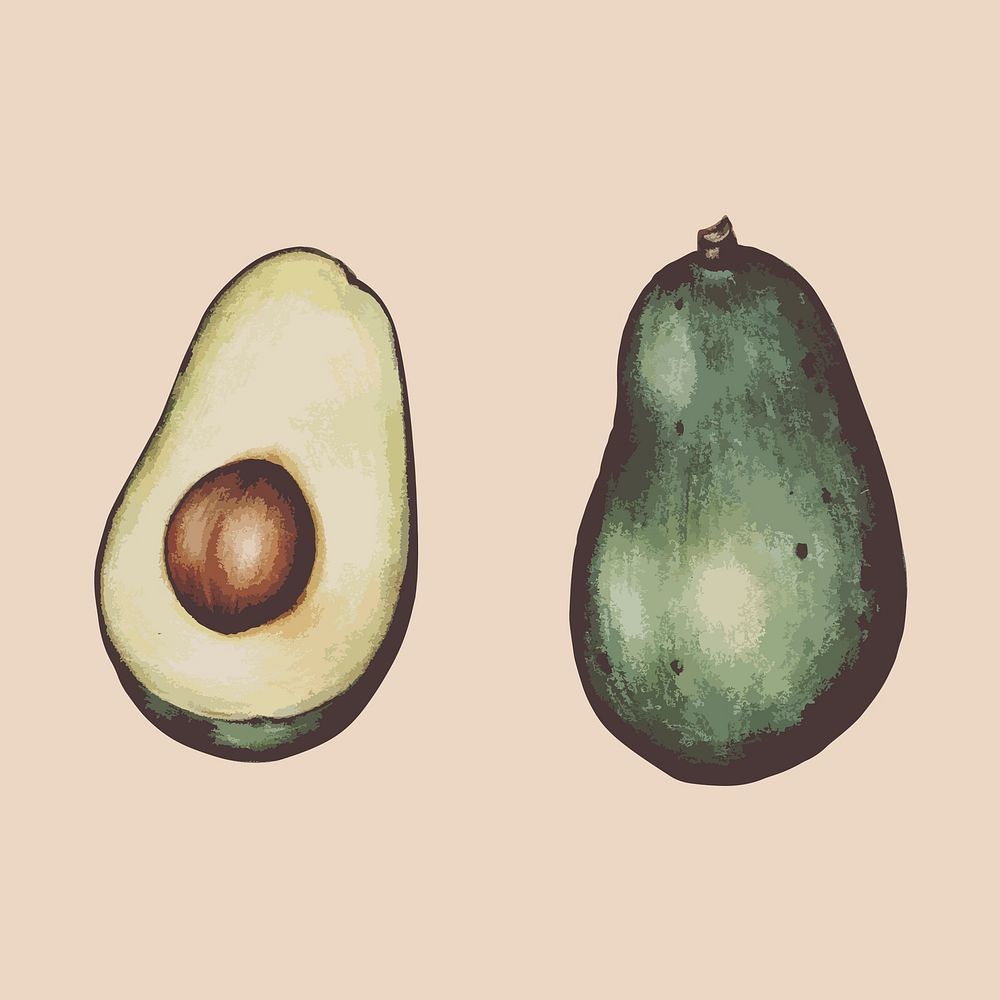 Illustration of sliced avocado