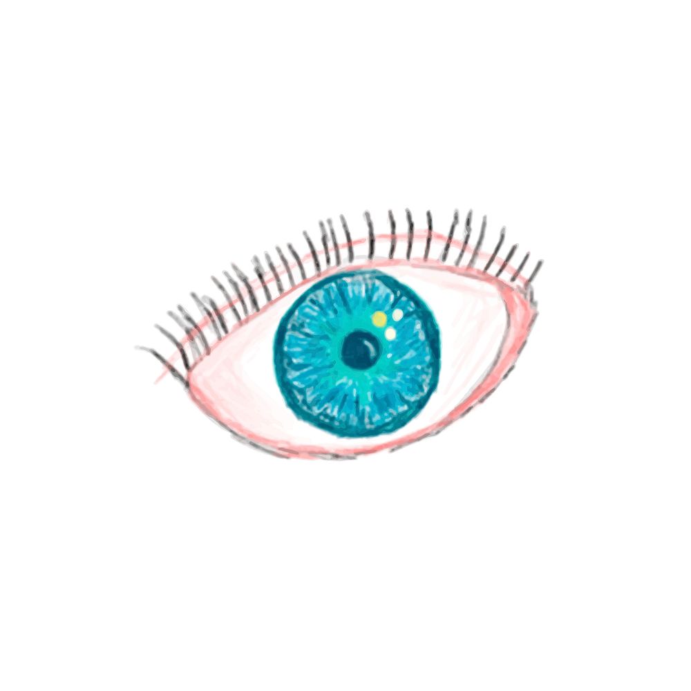 Illustration of hand drawn eye icon isolated on white background