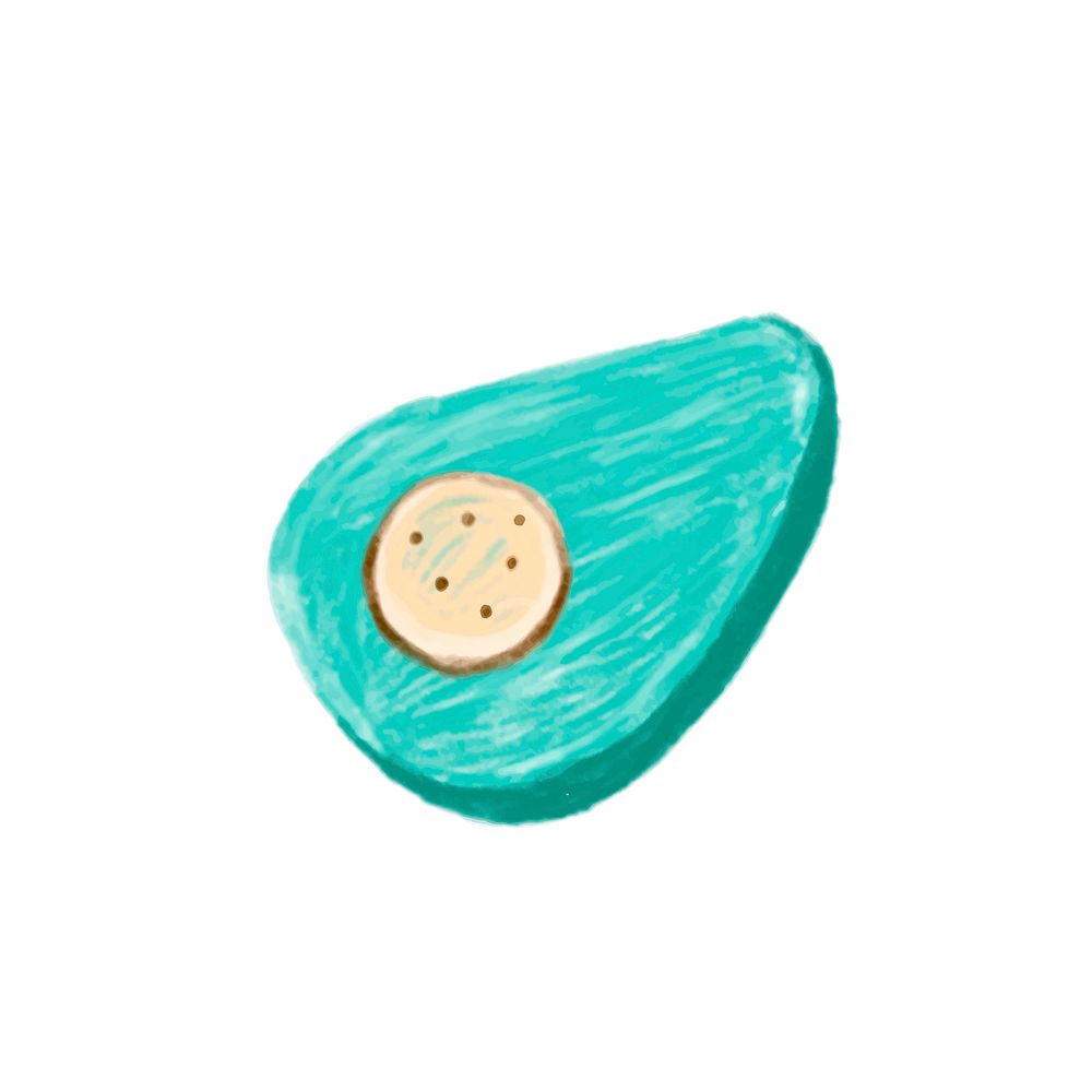 Illustration of hand drawn avocado icon isolated on white background