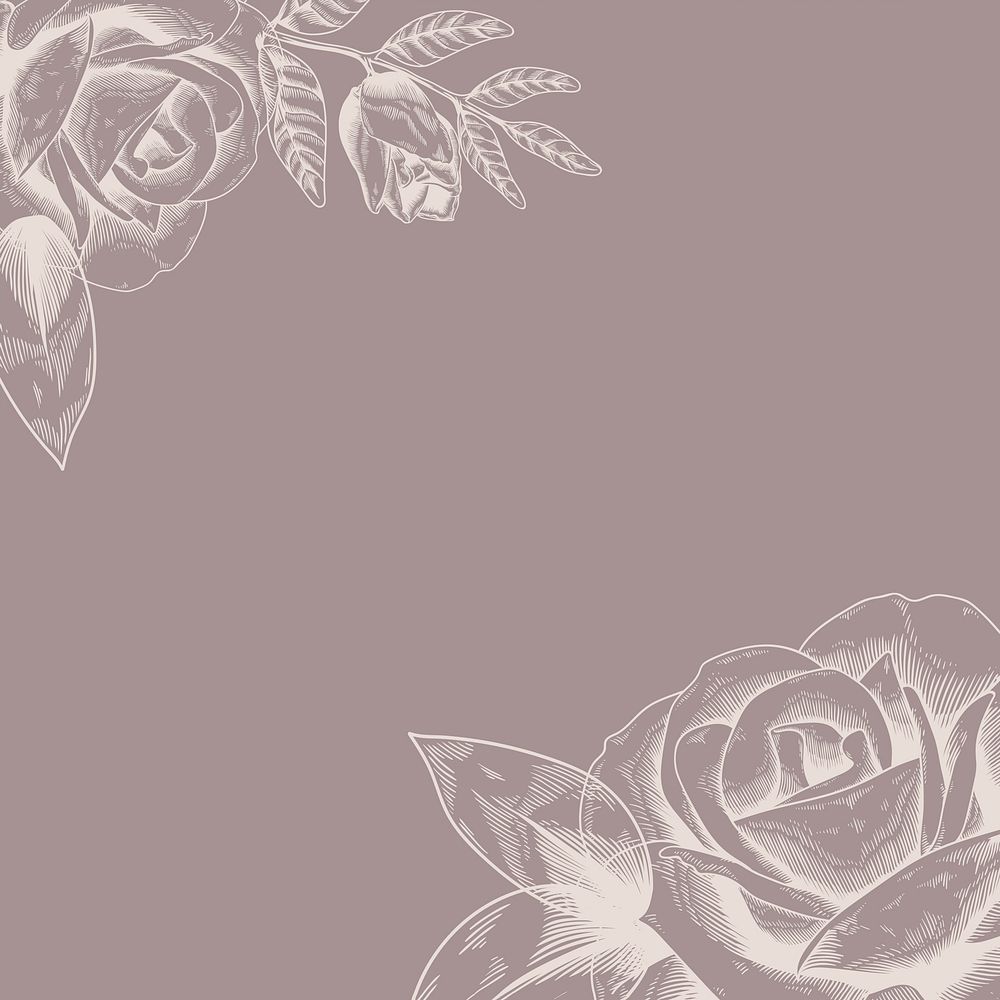 Hand drawn rose framed background vector