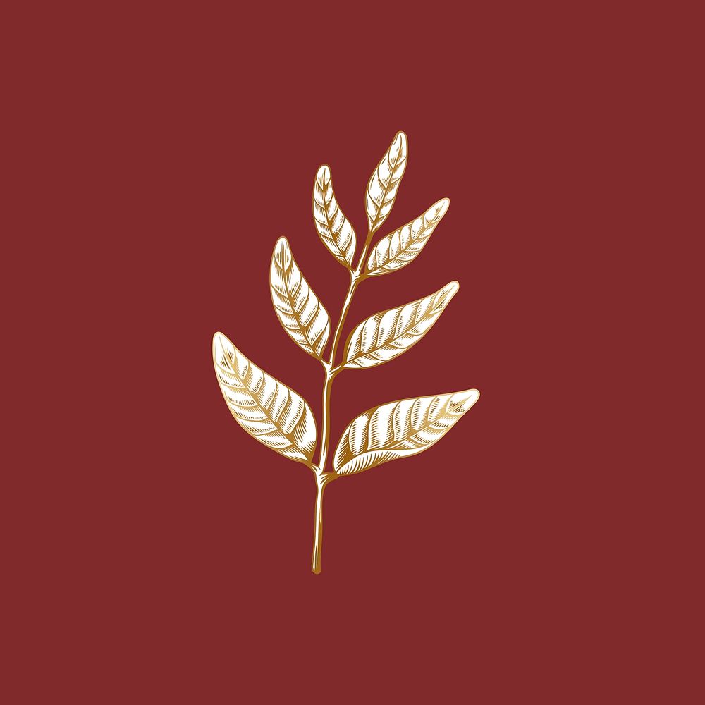 Hand drawn branch of leaves vector