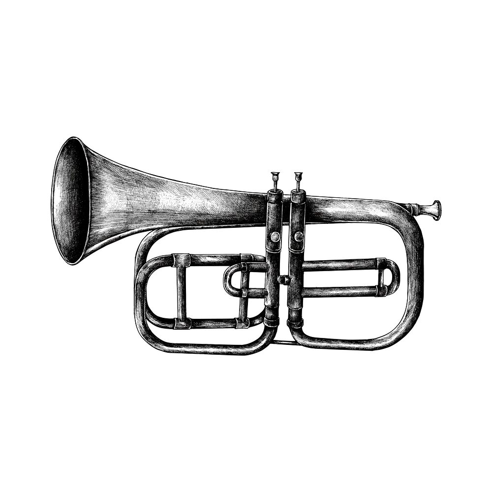 Hand drawn trumpet isolated on white background