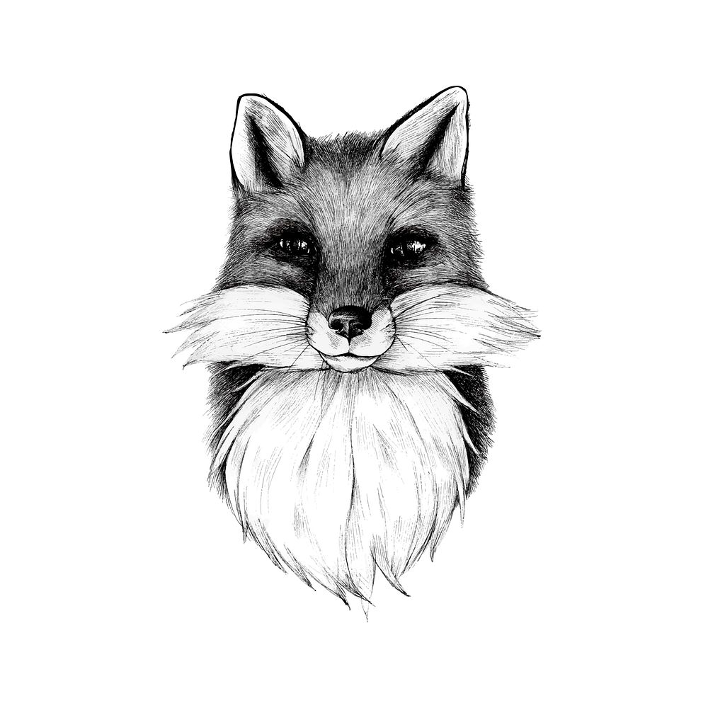 Hand drawn fox isolated on white background