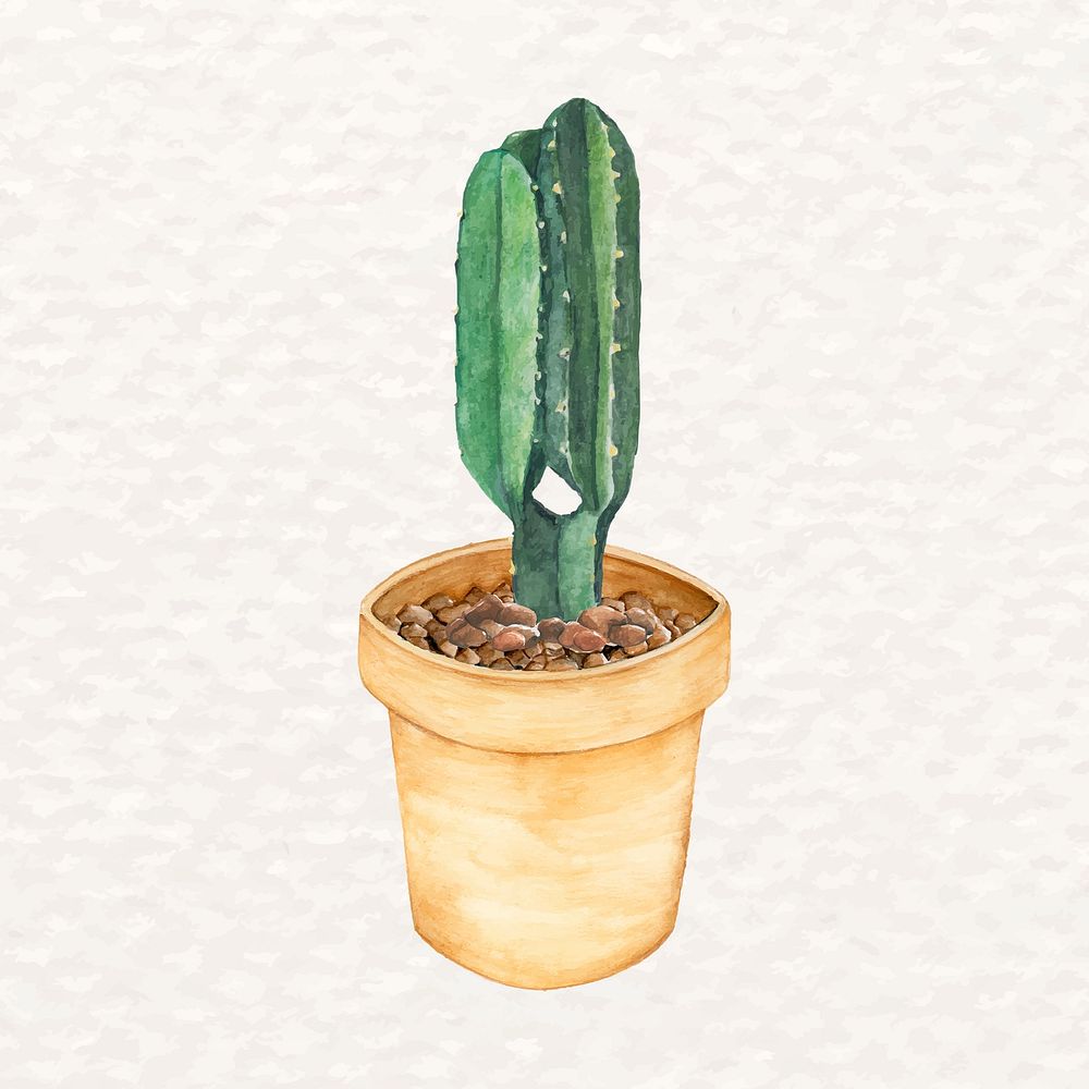 Potted cactus succulent psd watercolor Euphorbia ingens 