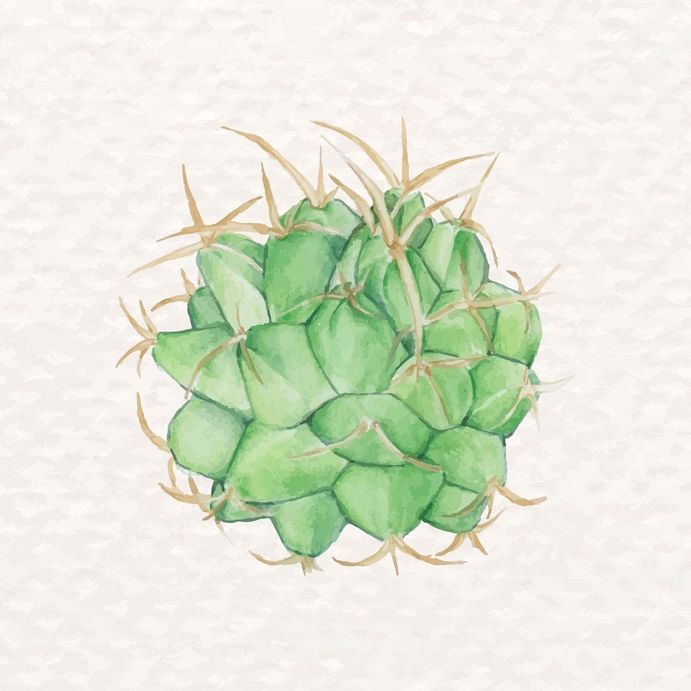 Mexican aloe cactus psd in watercolor 