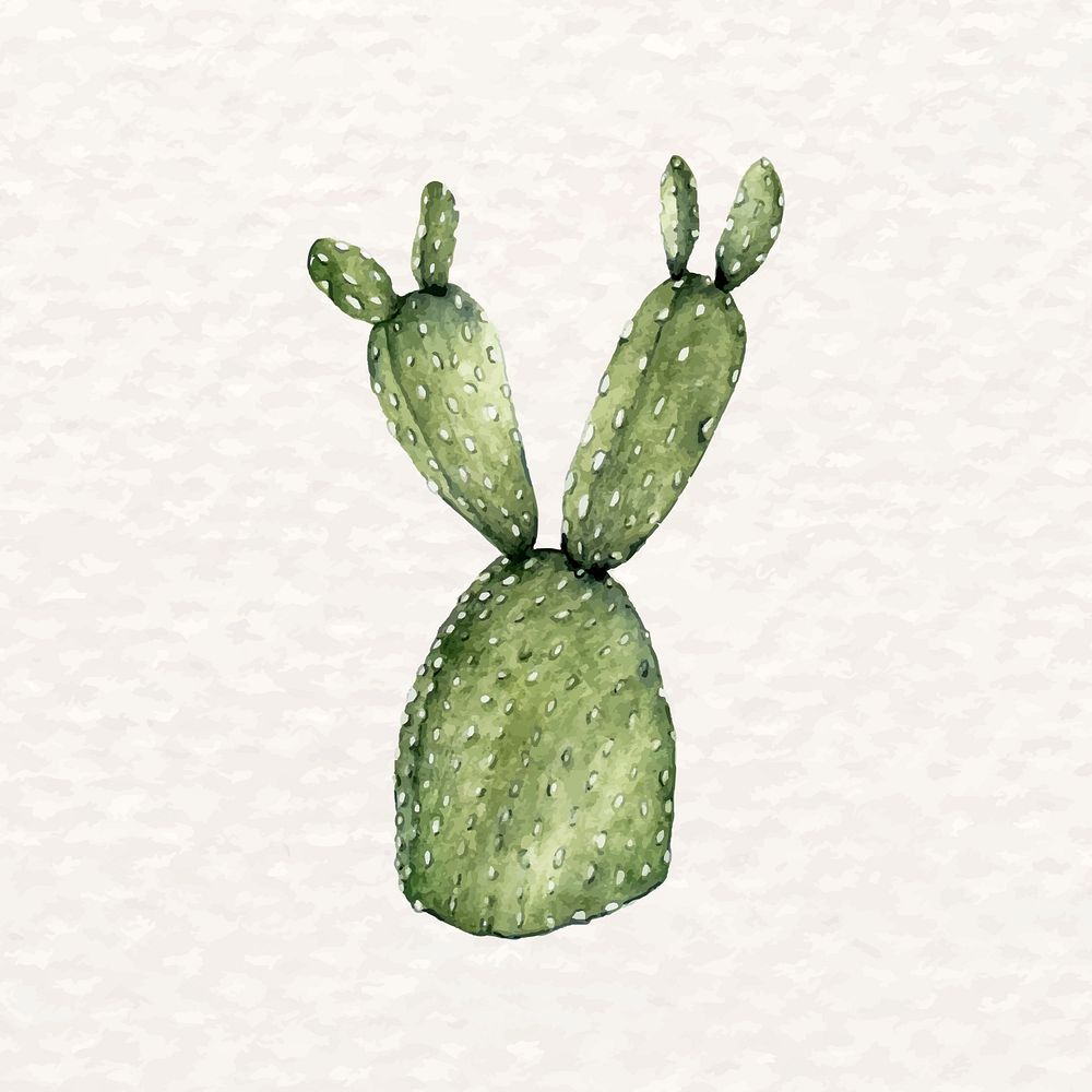 Watercolor desert prickly pear psd succulent plant 