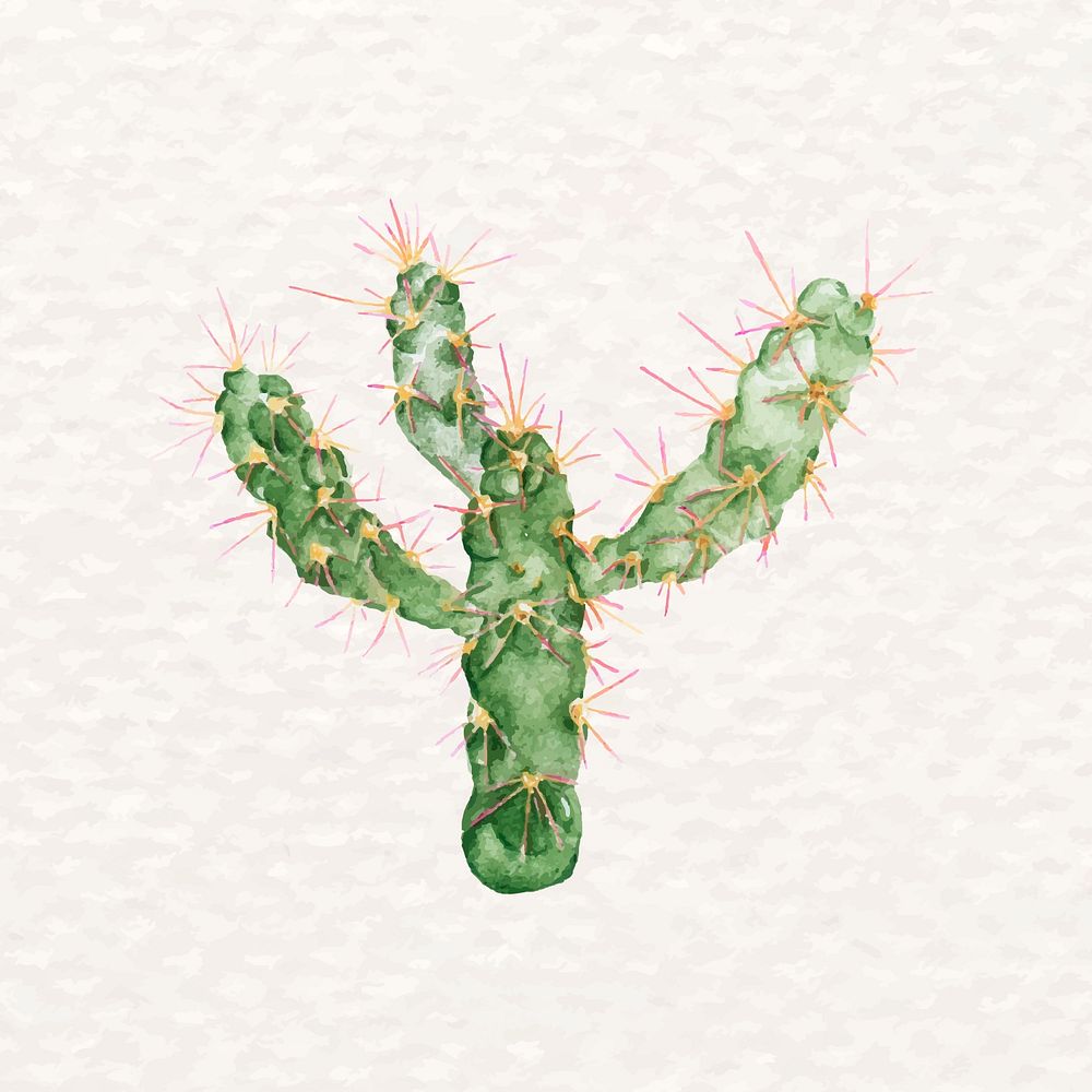 Desert cactus psd watercolor Euphorbia heptagona