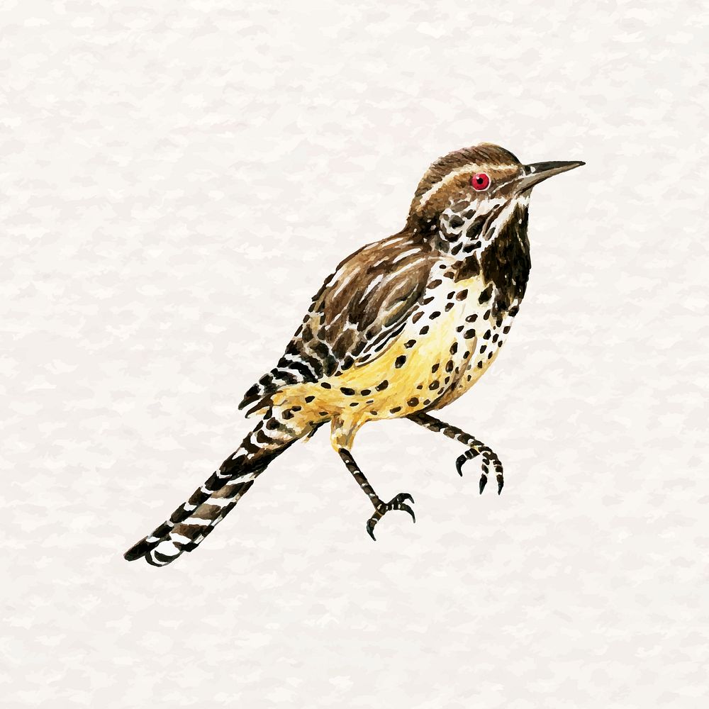 Hand-drawn wren bird psd in watercolor