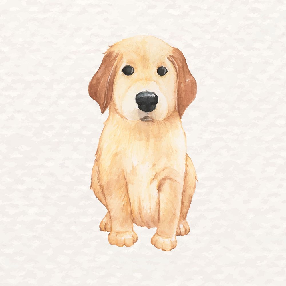 Hand-drawn golden-retriever dog psd