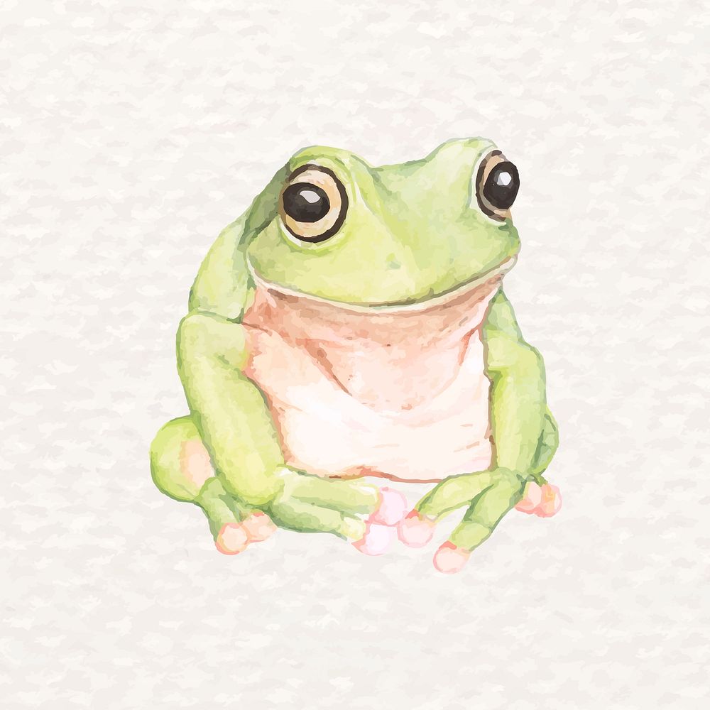 Hand-drawn green frog psd