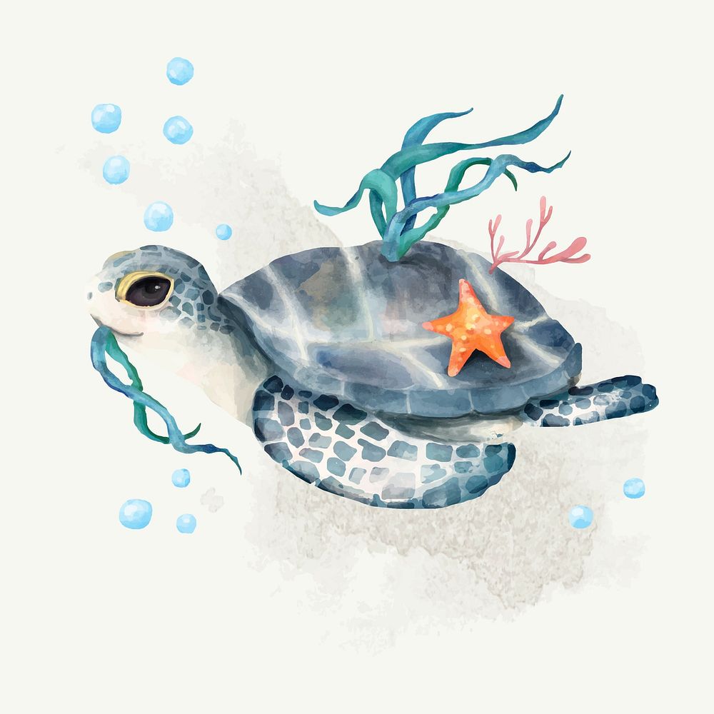 Illustration of turtle