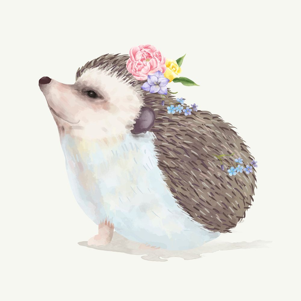 Illustration of a baby hedgehog