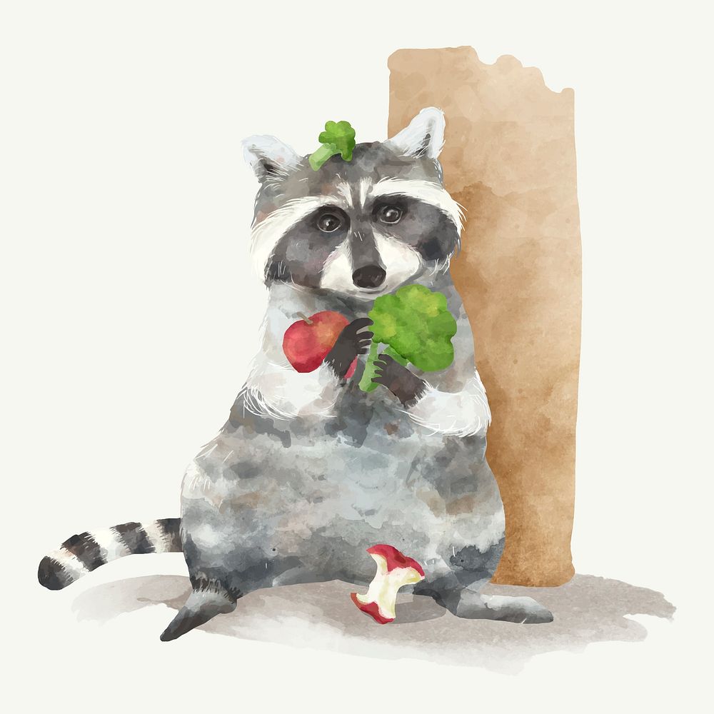 Illustration of a raccoon