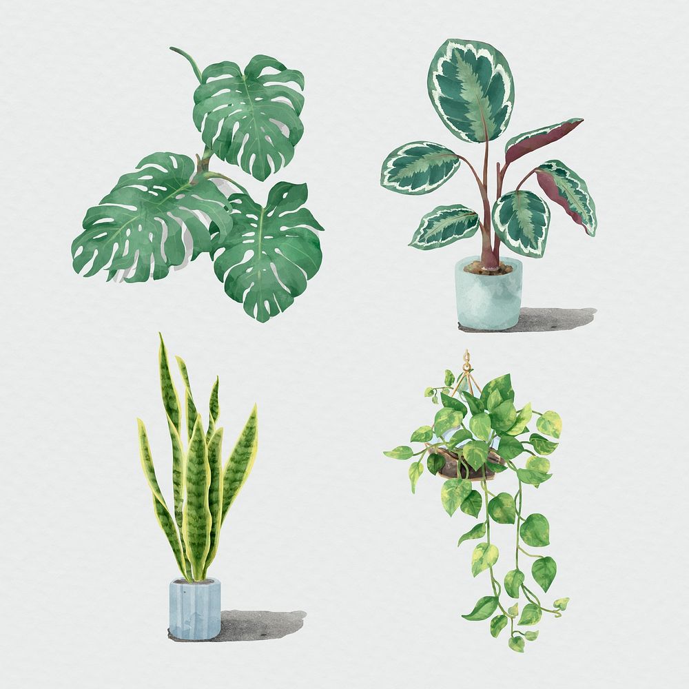 Psd watercolor tropical plant set