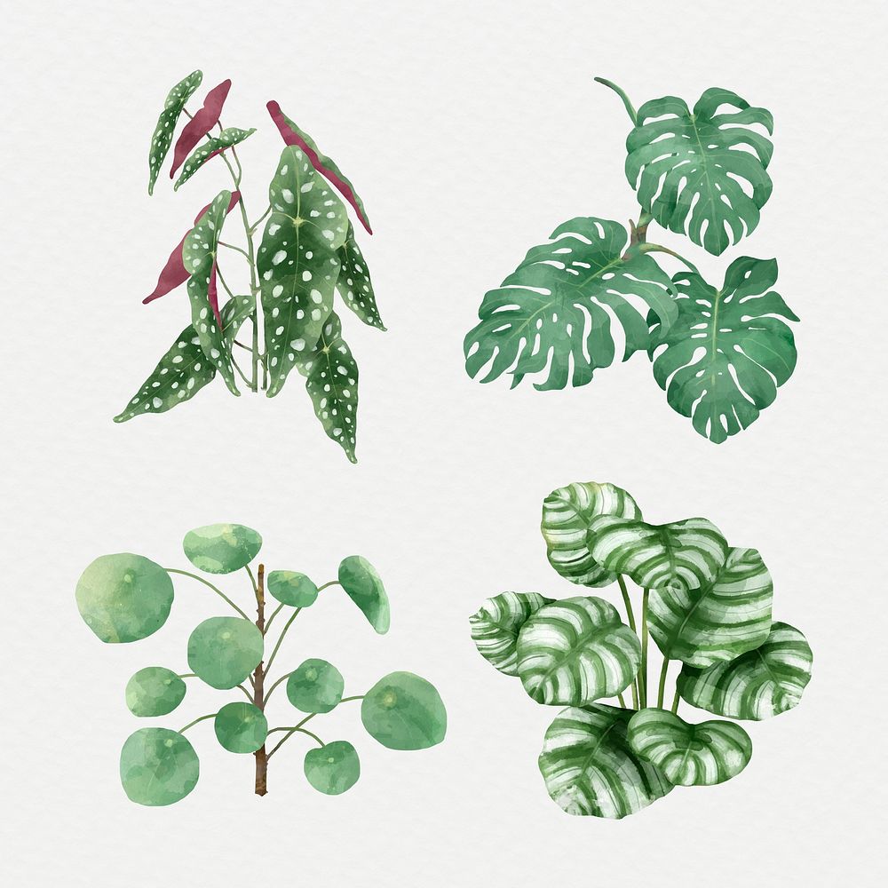 Watercolor psd green leaf set