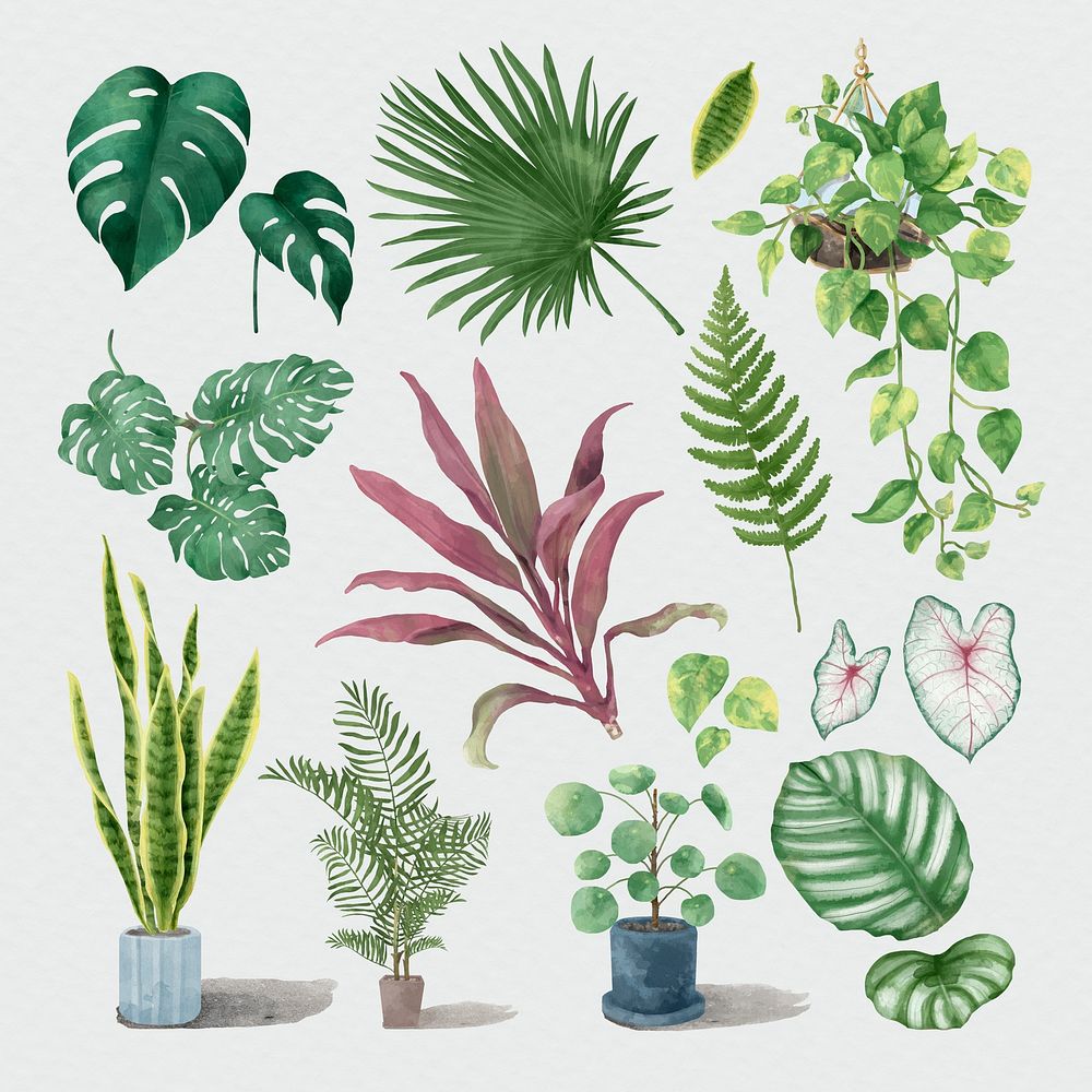 Psd watercolor botanical plant set