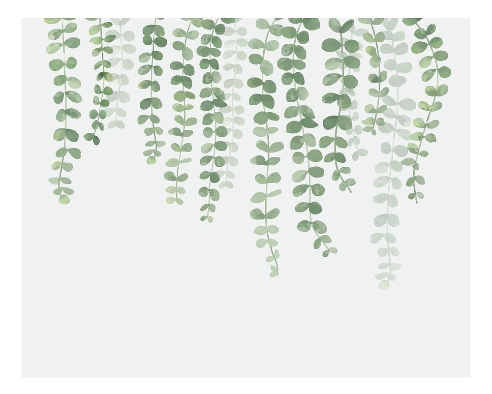 Illustration of hanging plant isolated on white background