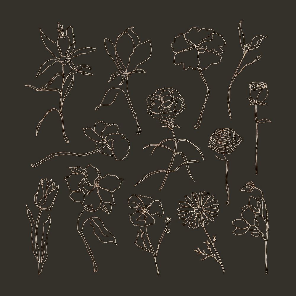 Flower hand drawn vector set single line art