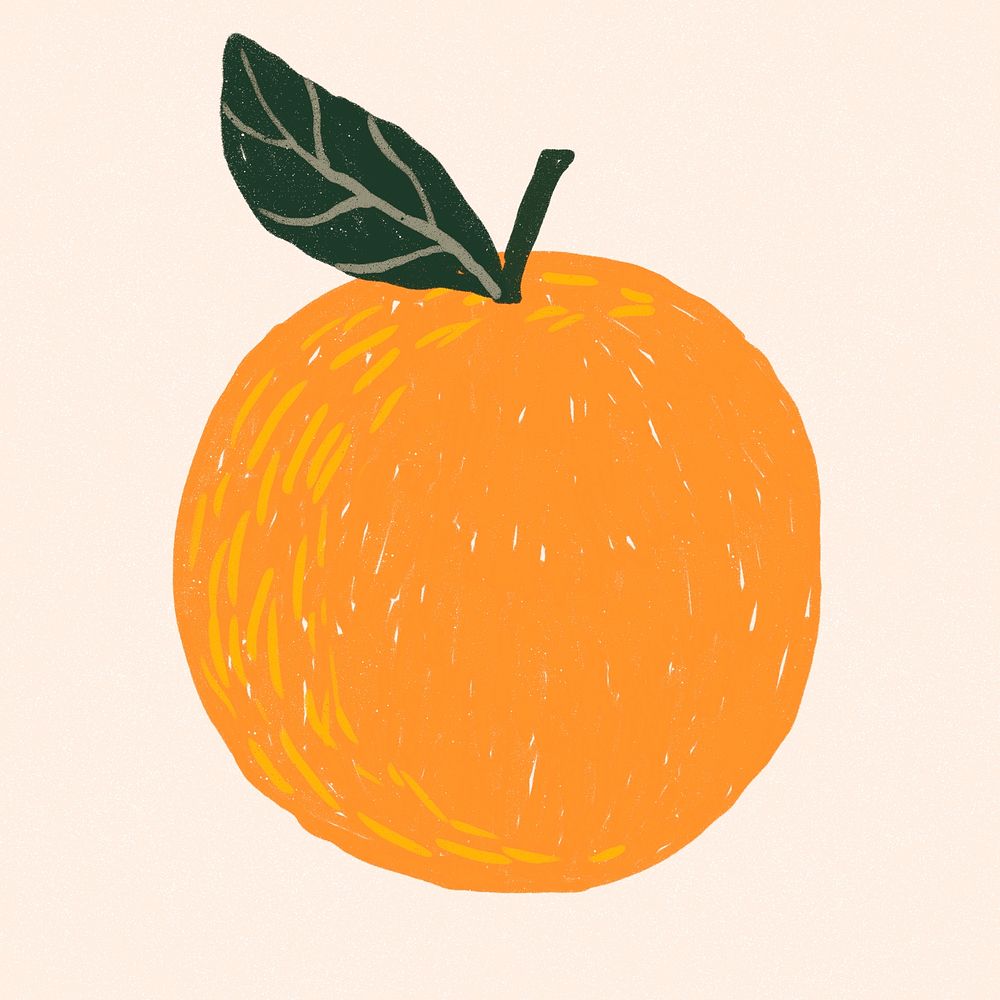Fruit orange doodle drawing psd
