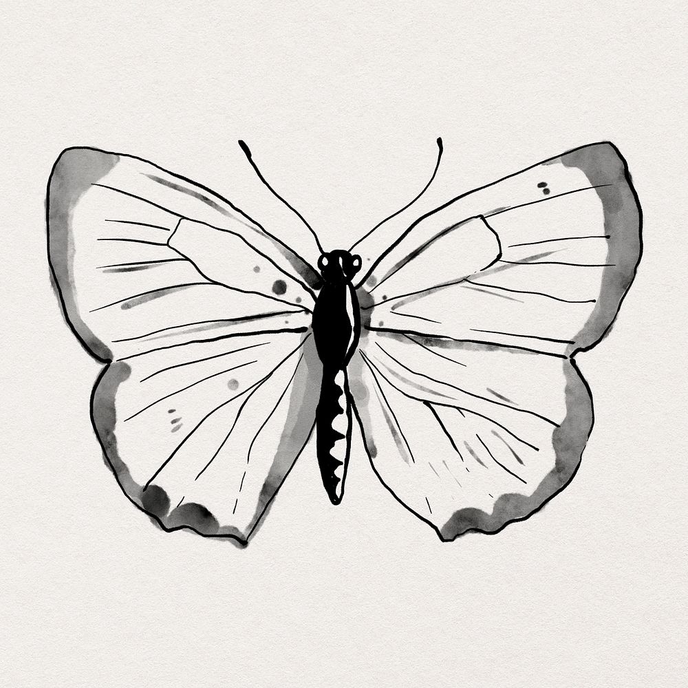 Ink line butterfly psd sticker illustration