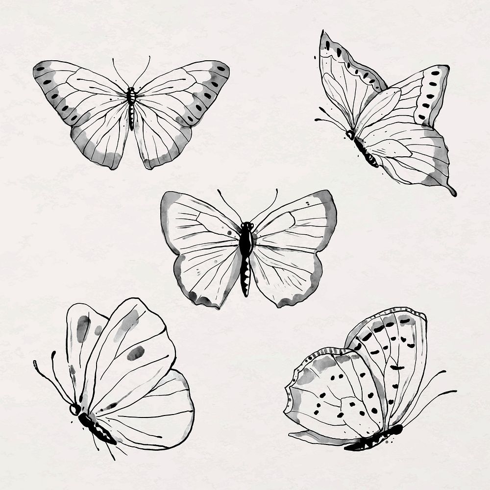 Ink line butterfly sticker illustration vector set