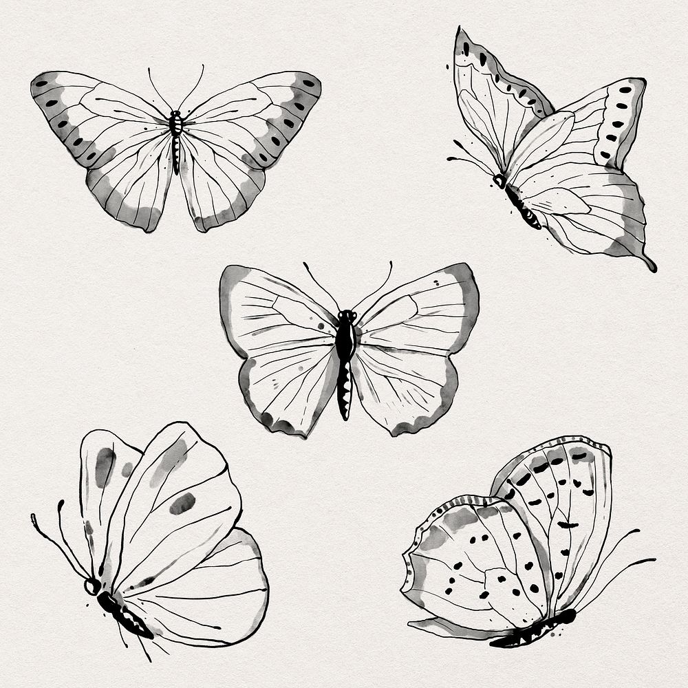 Ink line butterfly psd sticker illustration set