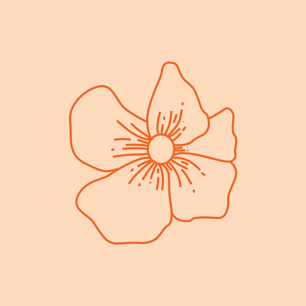 Minimal aesthetic flower illustration on peach color background