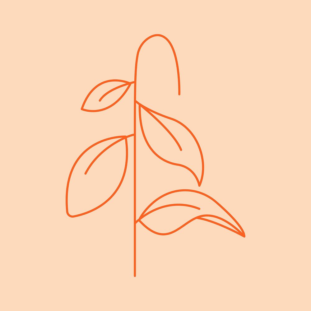 Botanical aesthetic illustration on peach color background