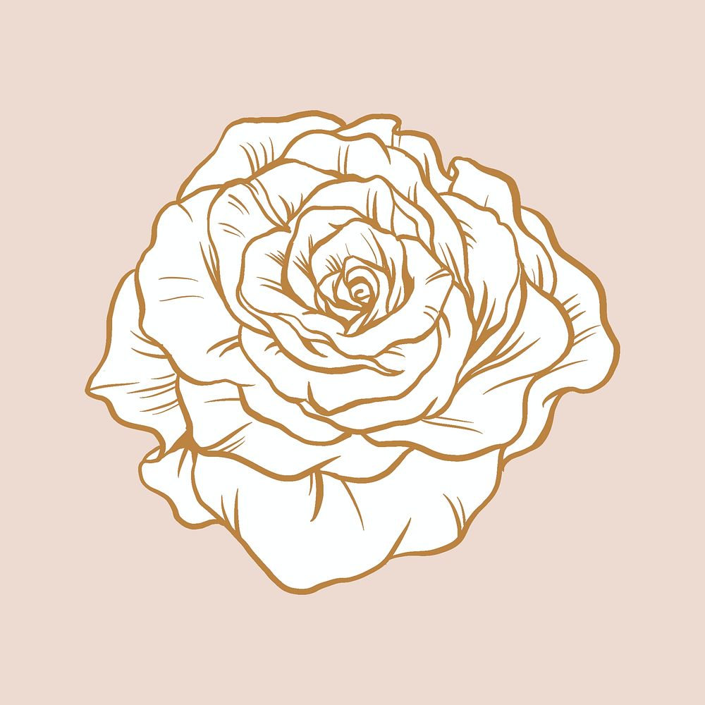 Rose flower sticker, brown vintage botanical illustration psd
