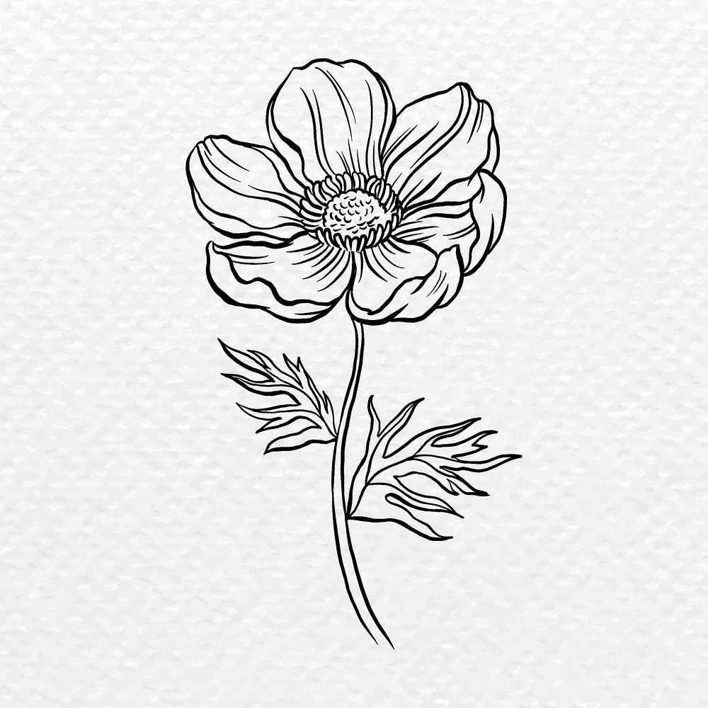 Anemone flower collage element, black botanical clipart psd