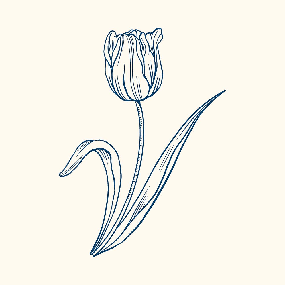 Tulip flower sticker, blue vintage botanical illustration psd