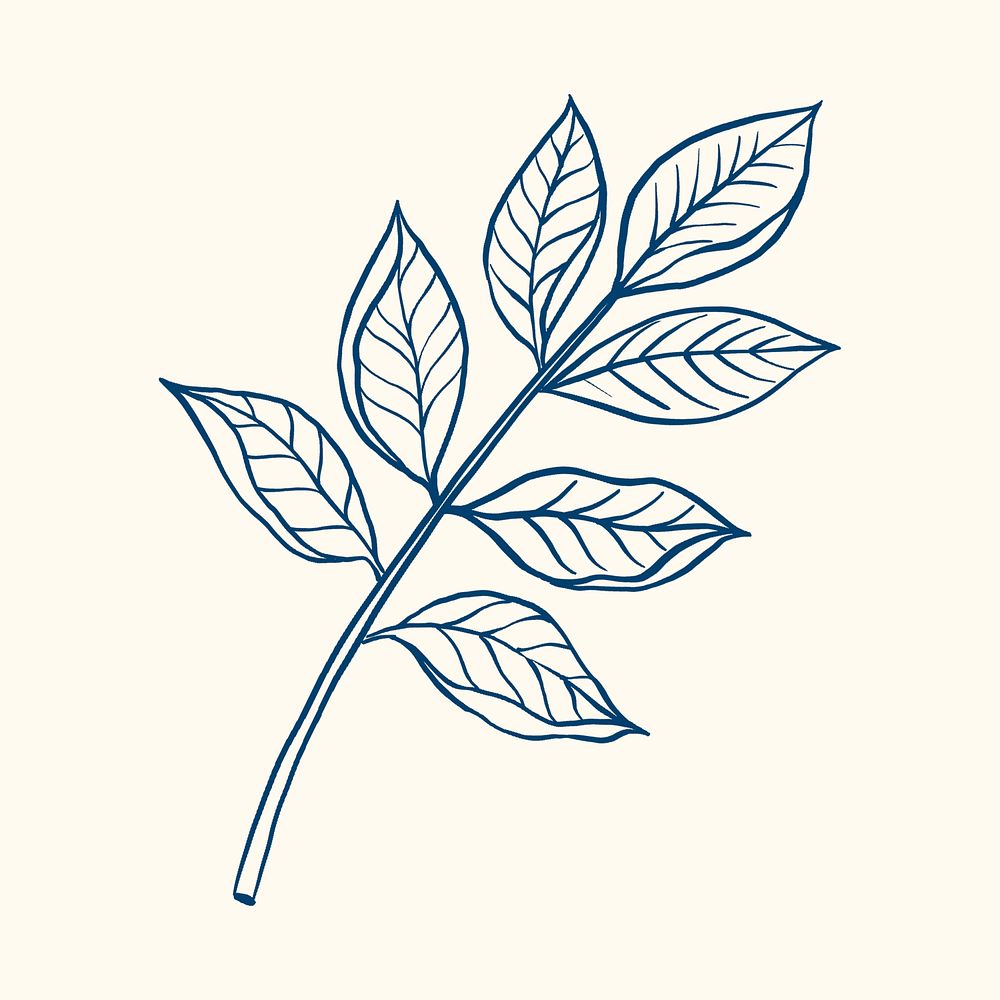 Blue leaf sticker, vintage botanical illustration psd