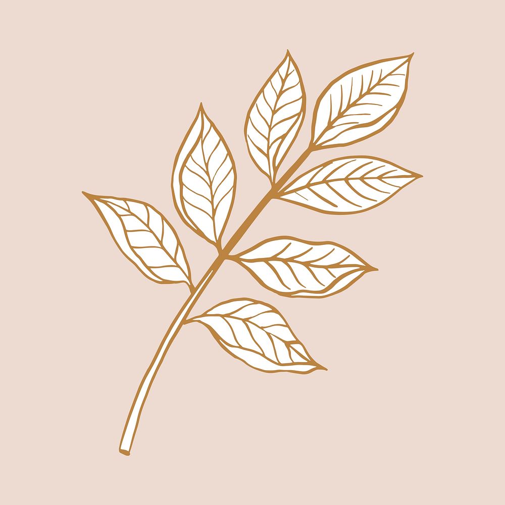 Brown leaf sticker, vintage botanical illustration vector