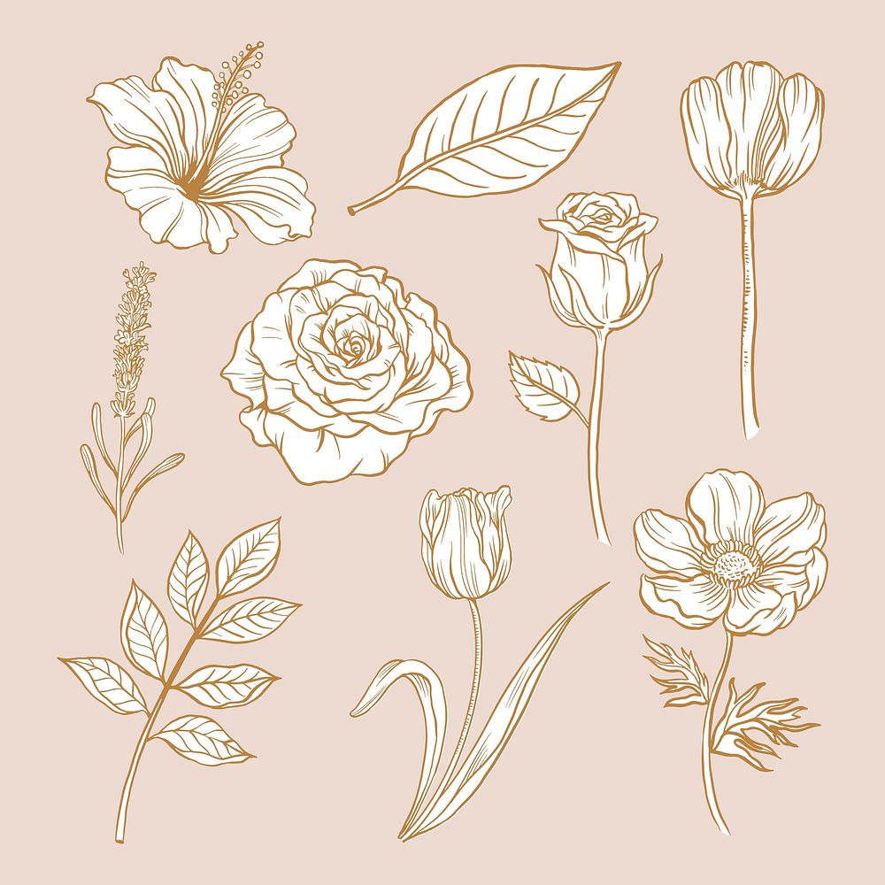 Vintage flower sticker, brown botanical illustration vector set