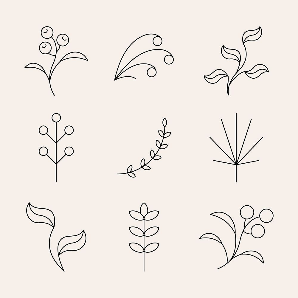 Leaf element illustration, minimal botanical design set vector