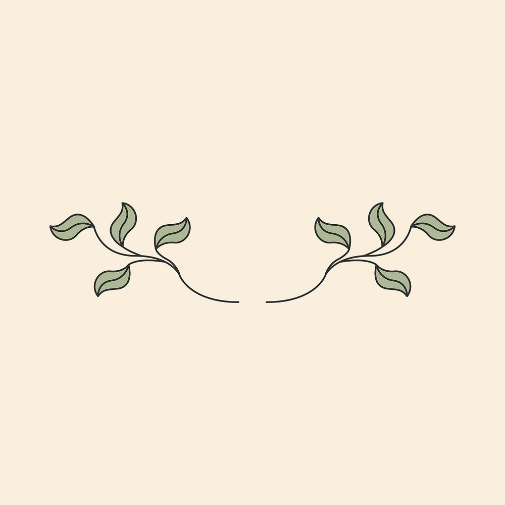 Leaf divider illustration, simple botanical graphic design