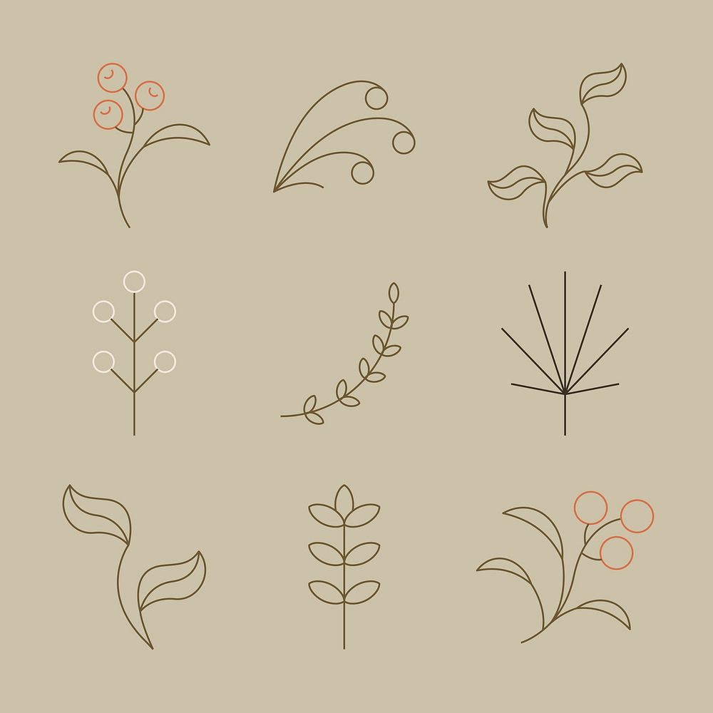 Floral ornament illustrations, simple flower design vector
