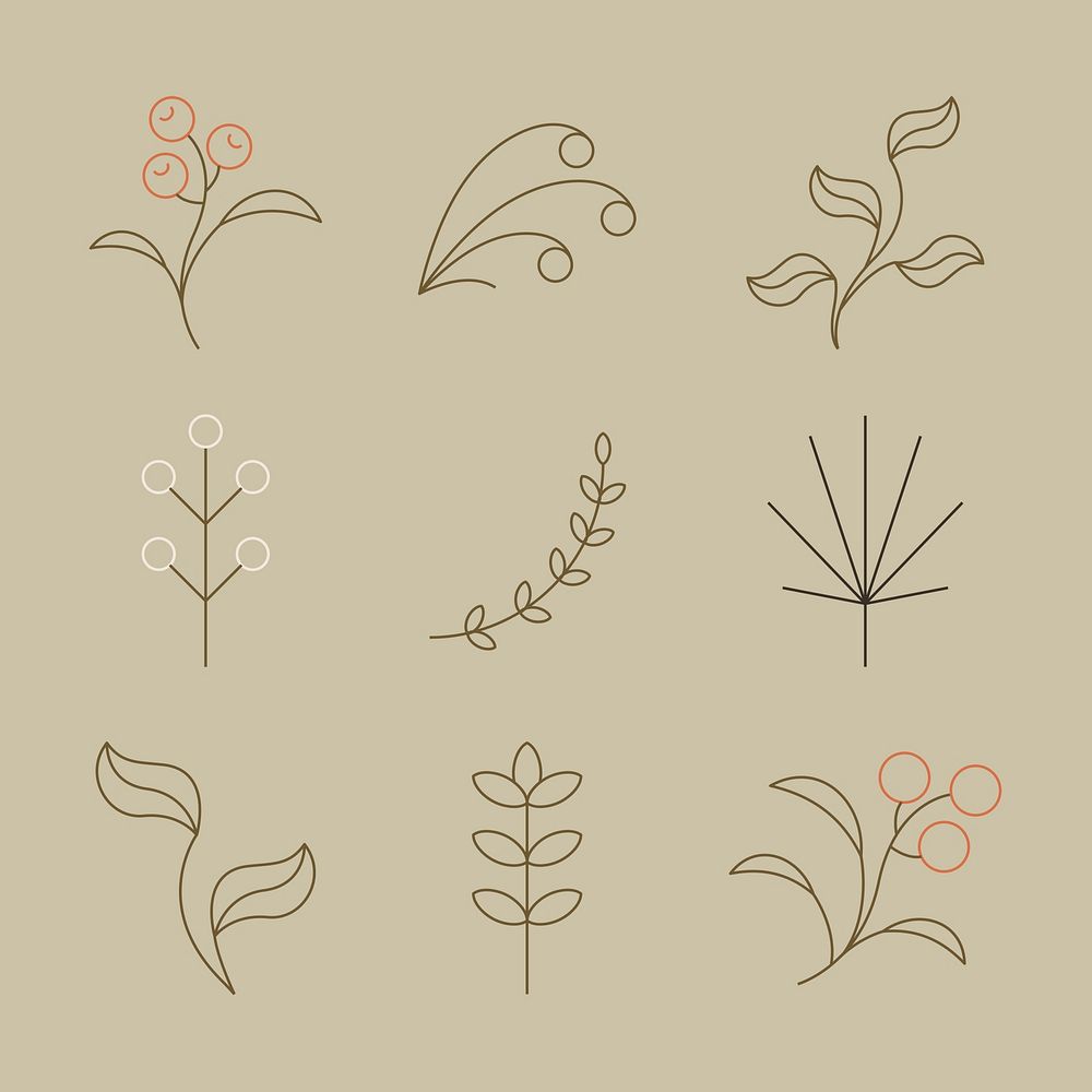 Aesthetic botanical element, simple leaf design set psd