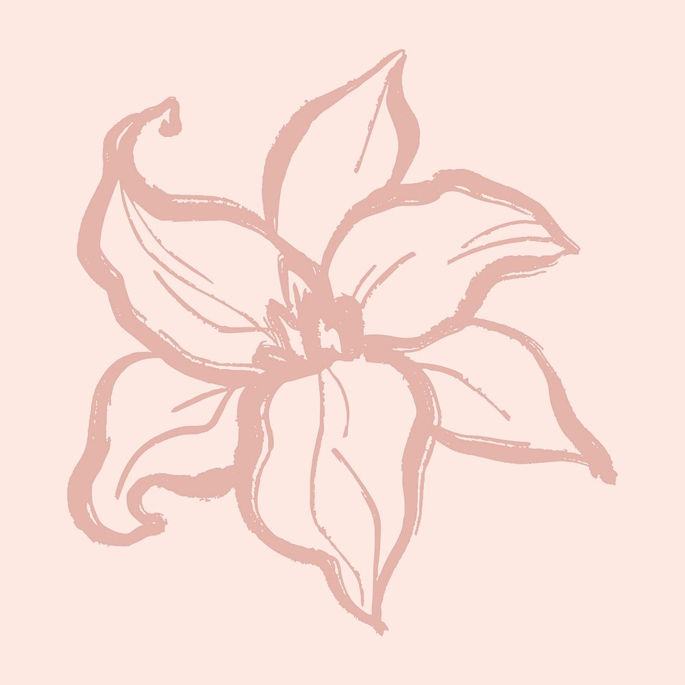 Lily collage element, pink flower line art, simple illustration psd
