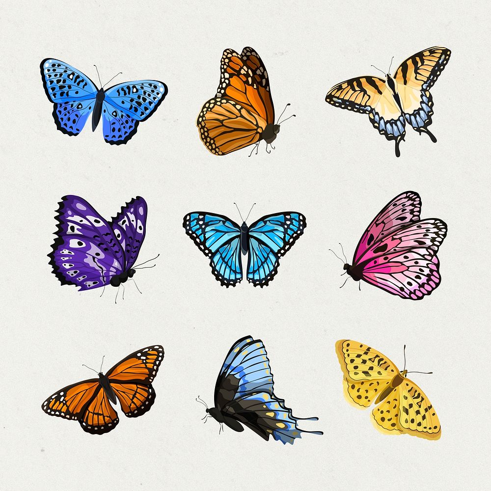 Butterfly types, watercolor illustration stickers set psd