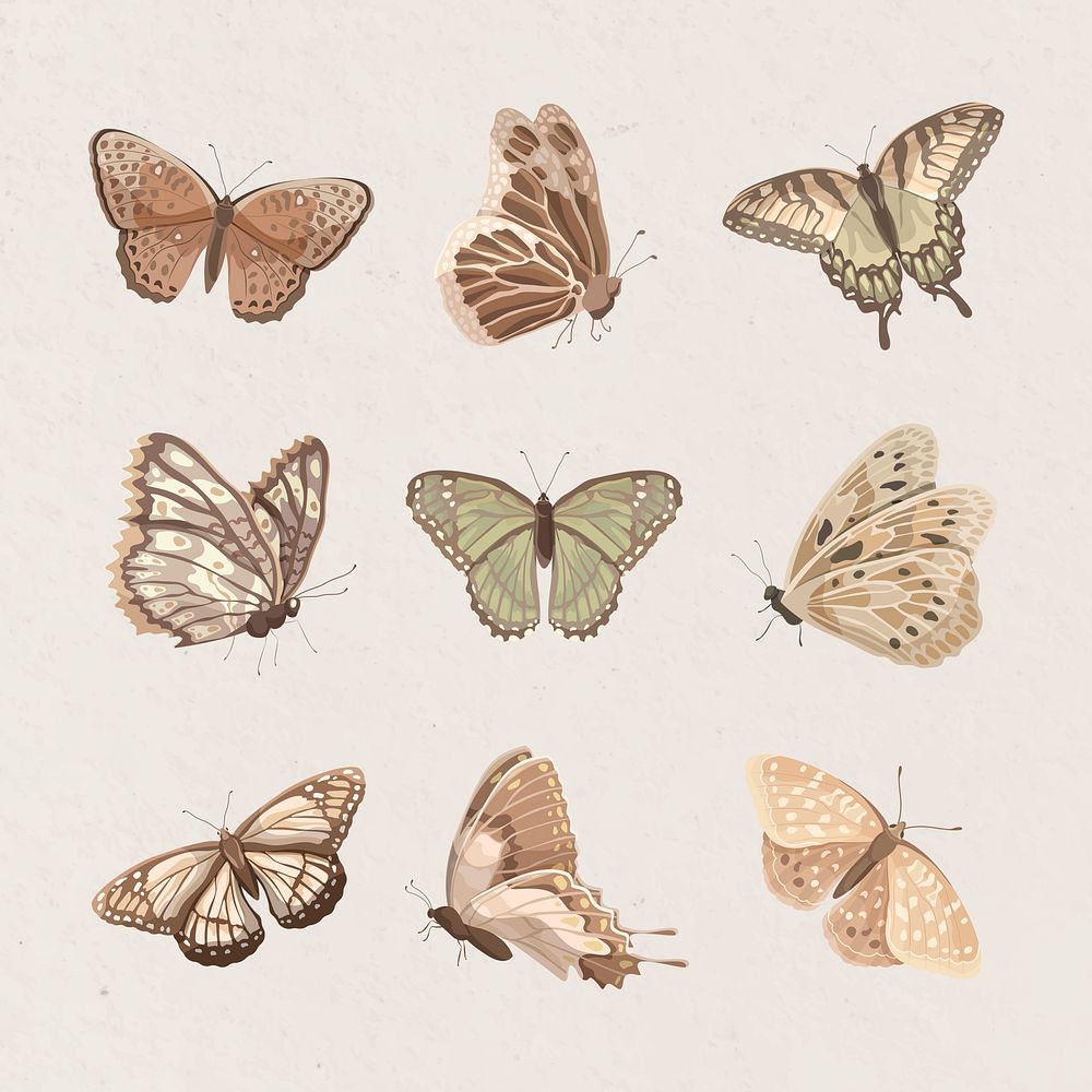 Aesthetic butterfly, beige watercolor collage element set psd