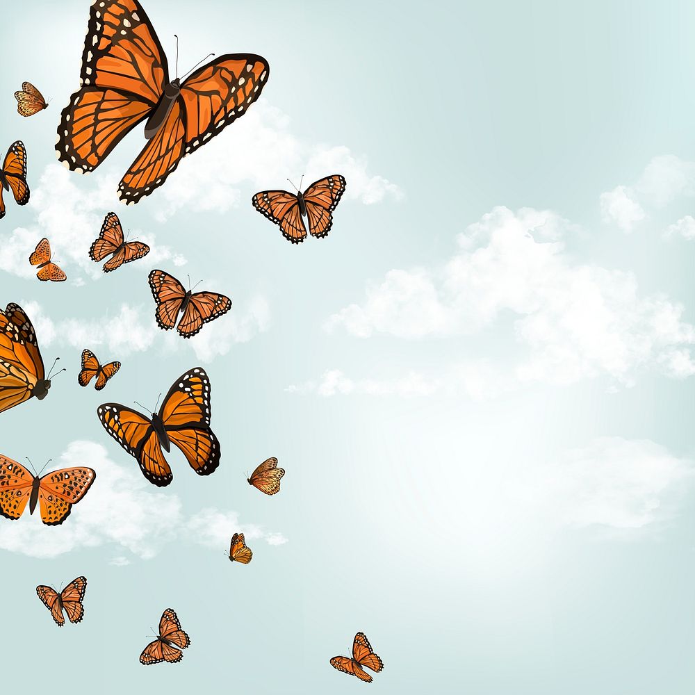 Butterfly background, social media post with design space psd