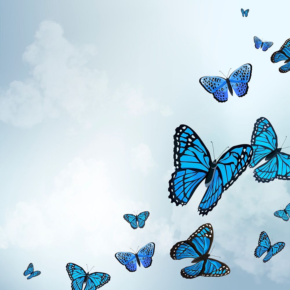 Butterfly social media post background with design space psd