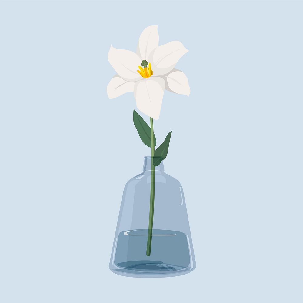 White flower in glass vase, blue background