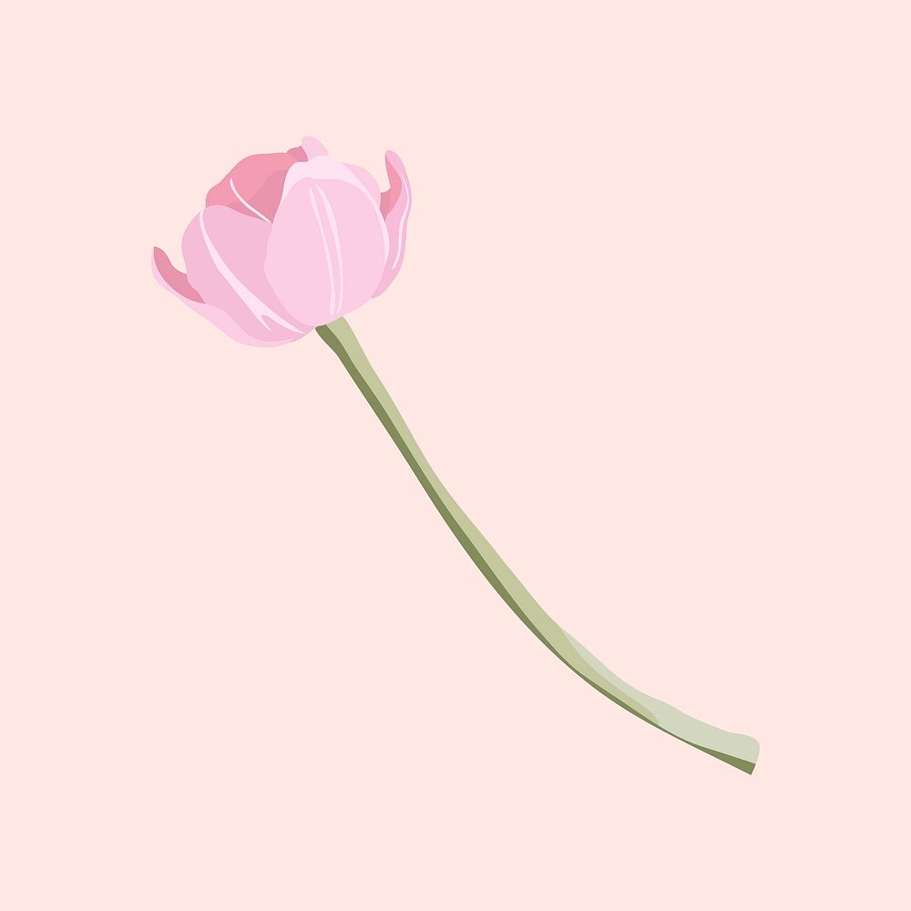 Blooming pink tulip sticker, aesthetic vector illustration design