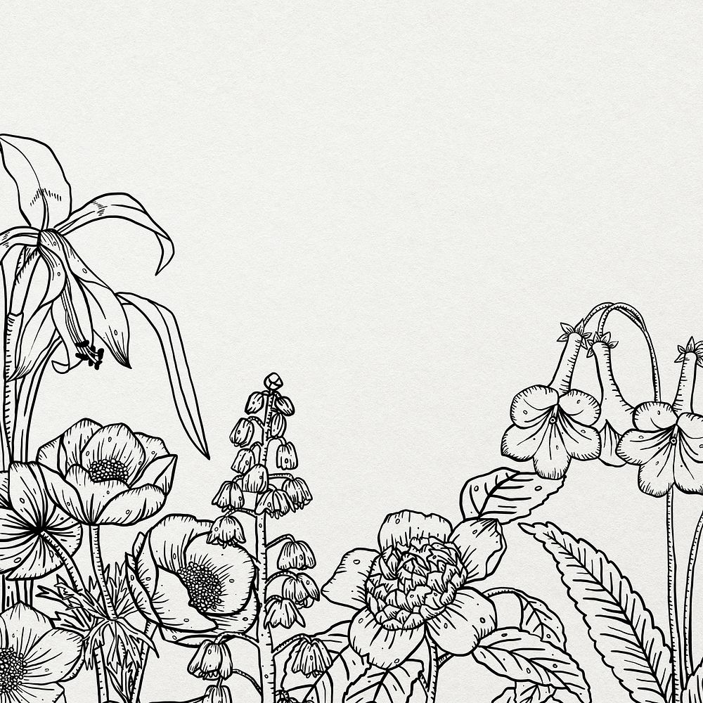 Hand drawn floral background, minimal line art pattern design 