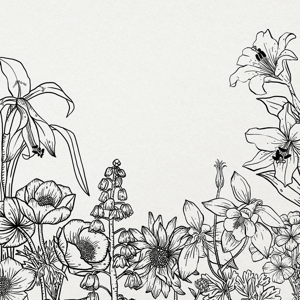 Aesthetic flower line art background, black and white hand drawn minimal design border
