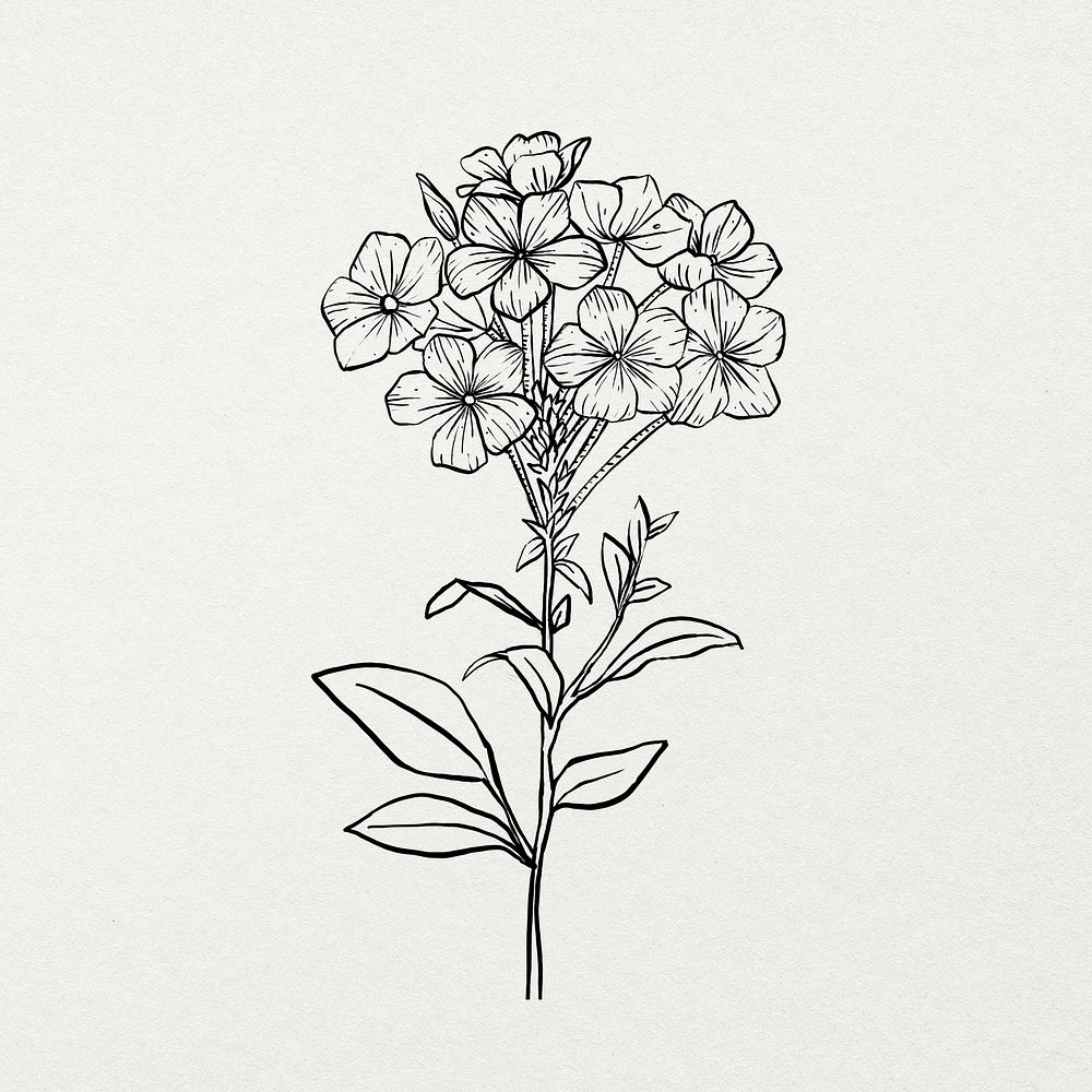 Botanical drawing black and white sticker, coloring book design psd